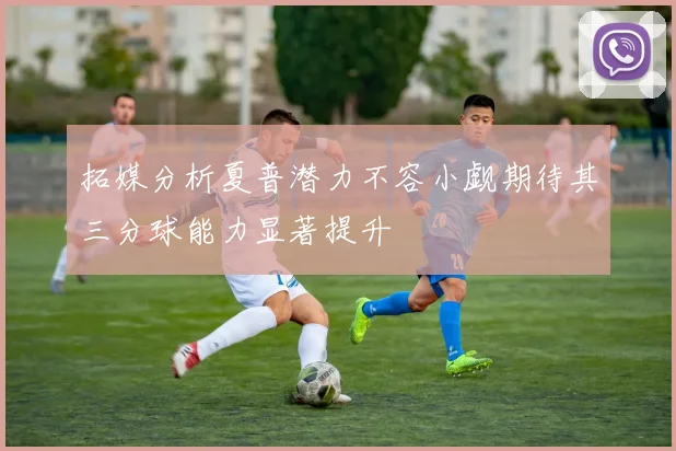 拓媒分析夏普潜力不容小觑期待其三分球能力显著提升