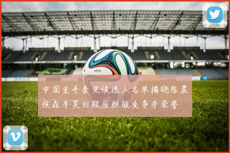 中国金手套奖候选人名单揭晓陈晨侯森李昊刘殿座颜骏凌争夺荣誉