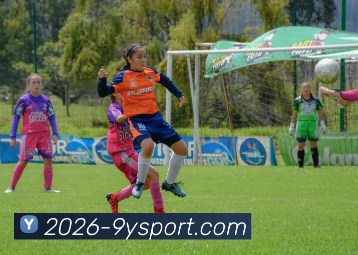 九游体育发展历程